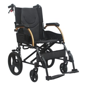 transporter gold KY863LABJ-E-12-46